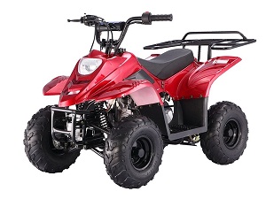 atvs scooters dirt bikes for sale at lowest price in arlington auto max arlington tx