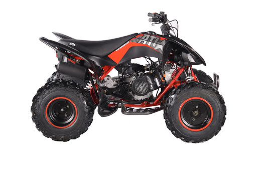 VITACCI-PENTORA-200-EFI-ATV