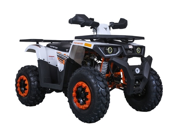 TAOTAO RAPTOR 200 ATV