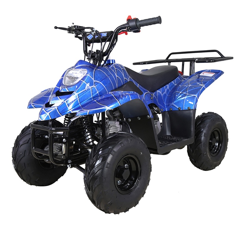 TAOTAO BOULDER-B1 125CC ATV